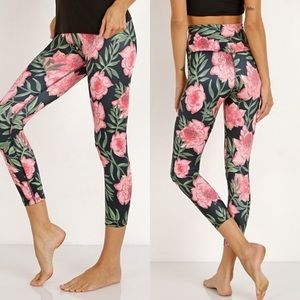 ꧁ 𝒦𝒶𝓉𝑒 𝒮𝓅𝒶𝒹𝑒 𝐿𝑜𝓉𝓊𝓈 ꧂